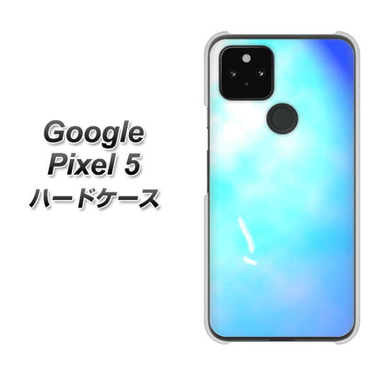 Google Pixel 5 高画質仕上げ 背面印刷 ハードケース【YJ291 デザイン　光】