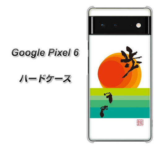 Google Pixel 6 高画質仕上げ 背面印刷 ハードケース【OE809 歩ム】