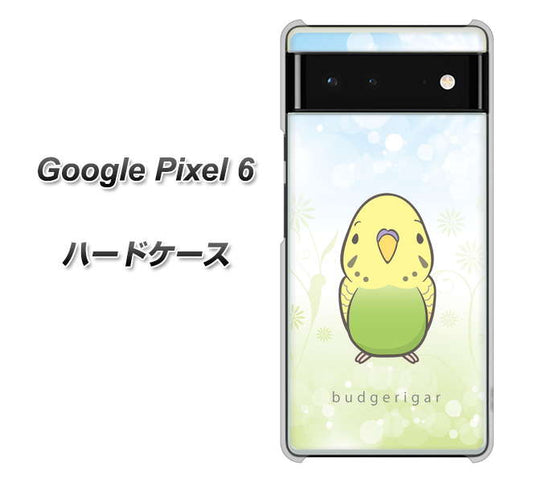Google Pixel 6 高画質仕上げ 背面印刷 ハードケース【SC838 セキセイインコ グリーン】