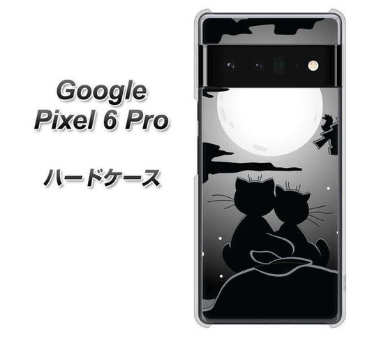 Google Pixel 6 Pro 高画質仕上げ 背面印刷 ハードケース【342 月夜の二人】