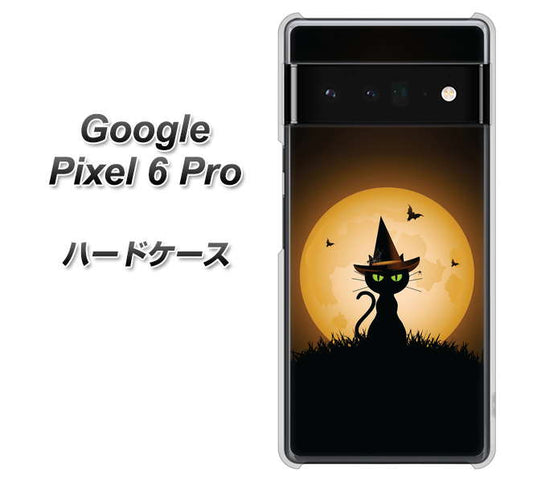 Google Pixel 6 Pro 高画質仕上げ 背面印刷 ハードケース【440 猫の魔法使い】