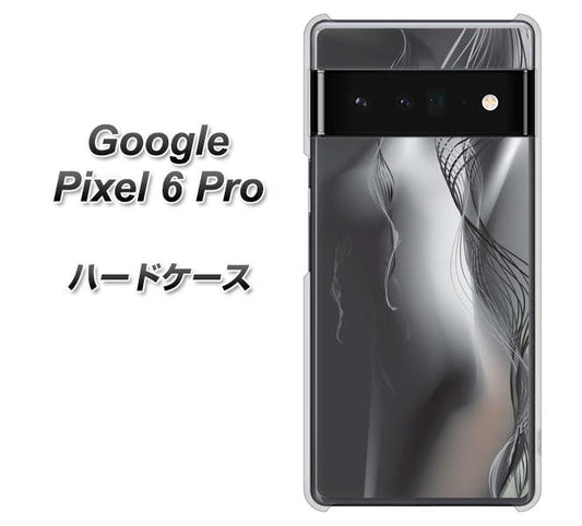 Google Pixel 6 Pro 高画質仕上げ 背面印刷 ハードケース【566 ボディウォール】