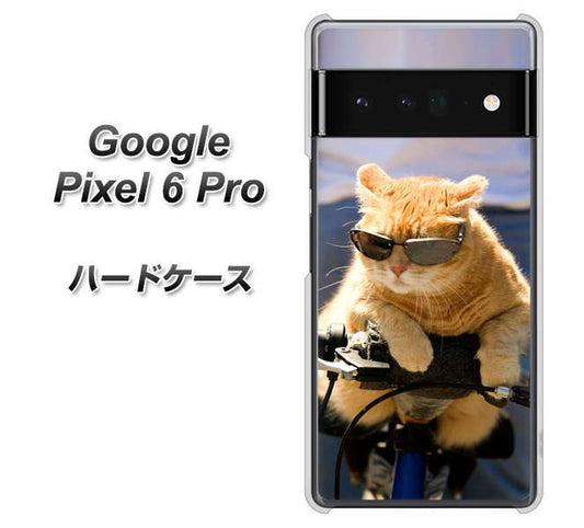 Google Pixel 6 Pro 高画質仕上げ 背面印刷 ハードケース【595 にゃんとサイクル】