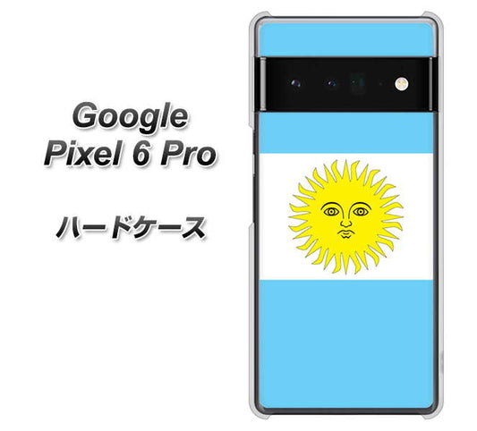 Google Pixel 6 Pro 高画質仕上げ 背面印刷 ハードケース【666 アルゼンチン】
