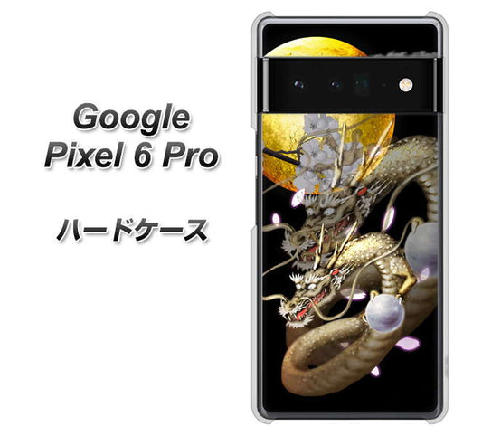 Google Pixel 6 Pro 高画質仕上げ 背面印刷 ハードケース【1003 月と龍】