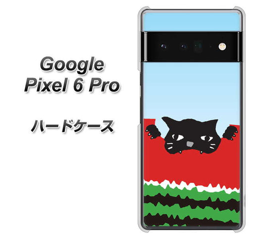Google Pixel 6 Pro 高画質仕上げ 背面印刷 ハードケース【IA815 すいかをかじるネコ(大)】