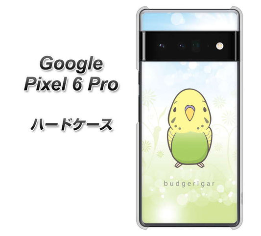 Google Pixel 6 Pro 高画質仕上げ 背面印刷 ハードケース【SC838 セキセイインコ グリーン】
