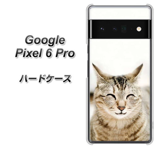 Google Pixel 6 Pro 高画質仕上げ 背面印刷 ハードケース【VA801 笑福ねこ】