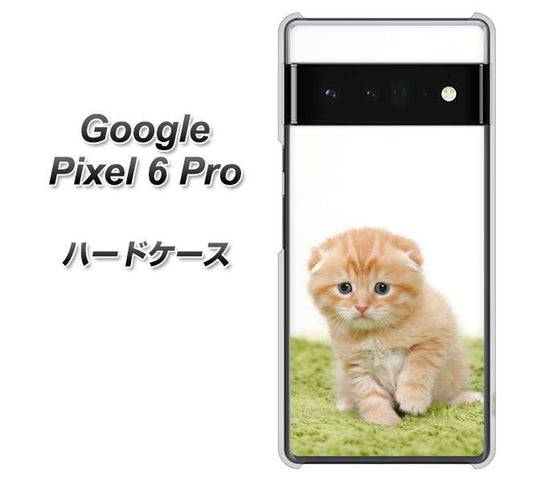 Google Pixel 6 Pro 高画質仕上げ 背面印刷 ハードケース【VA802 ネコこっそり】