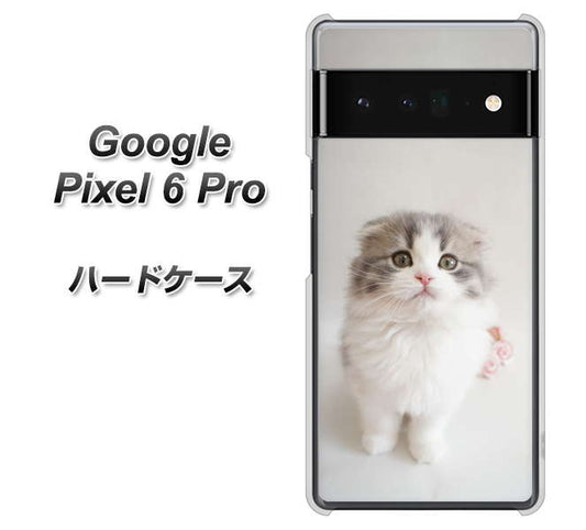 Google Pixel 6 Pro 高画質仕上げ 背面印刷 ハードケース【VA803 まっていますネコ】