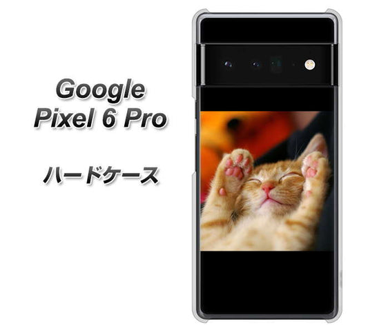Google Pixel 6 Pro 高画質仕上げ 背面印刷 ハードケース【VA804 爆睡するネコ】