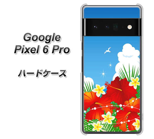 Google Pixel 6 Pro 高画質仕上げ 背面印刷 ハードケース【VA821 ハイビスカスと青空】