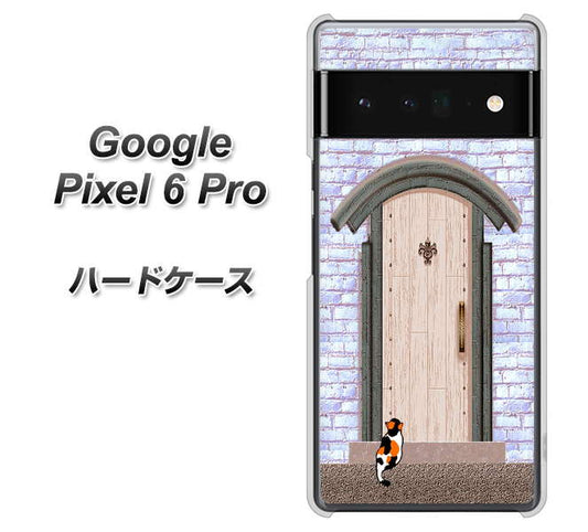 Google Pixel 6 Pro 高画質仕上げ 背面印刷 ハードケース【YA952 石ドア02 素材クリア】