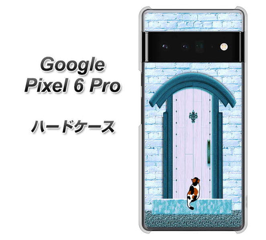 Google Pixel 6 Pro 高画質仕上げ 背面印刷 ハードケース【YA953 石ドア03 素材クリア】