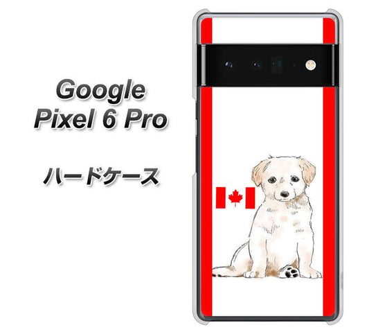 Google Pixel 6 Pro 高画質仕上げ 背面印刷 ハードケース【YD824 ラブラドールレトリバー05】