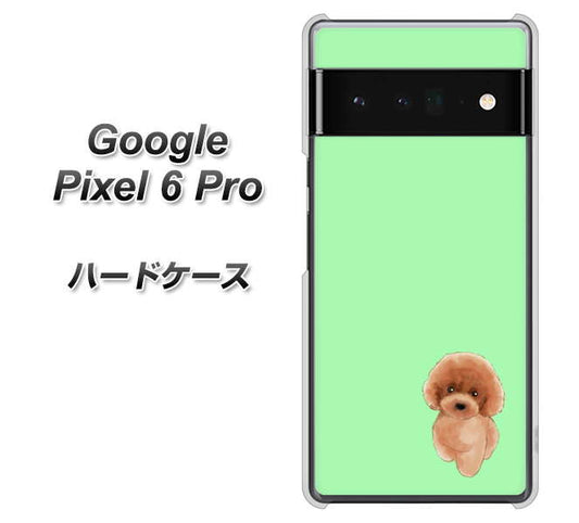 Google Pixel 6 Pro 高画質仕上げ 背面印刷 ハードケース【YJ052 トイプードルレッド（ グリーン）】