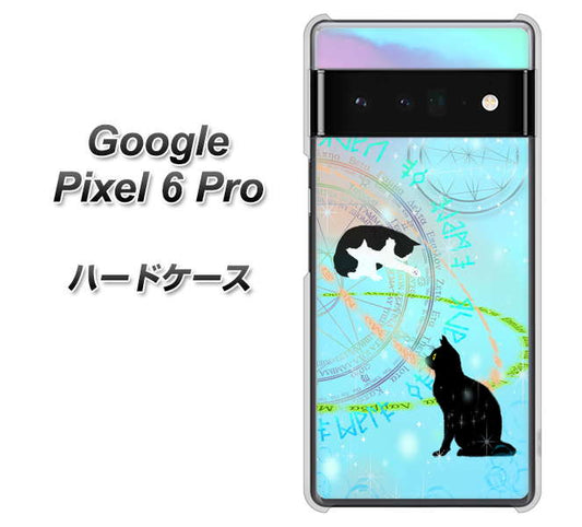 Google Pixel 6 Pro 高画質仕上げ 背面印刷 ハードケース【YJ329 魔法陣猫 キラキラ パステル】