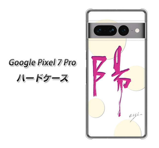 Google Pixel 7 Pro 高画質仕上げ 背面印刷 ハードケース【OE833 陽】