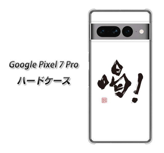 Google Pixel 7 Pro 高画質仕上げ 背面印刷 ハードケース【OE845 喝！】