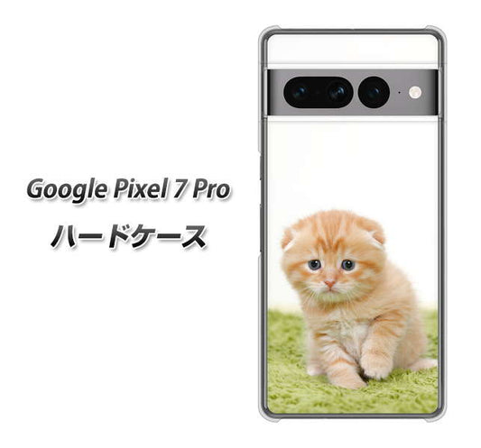 Google Pixel 7 Pro 高画質仕上げ 背面印刷 ハードケース【VA802 ネコこっそり】