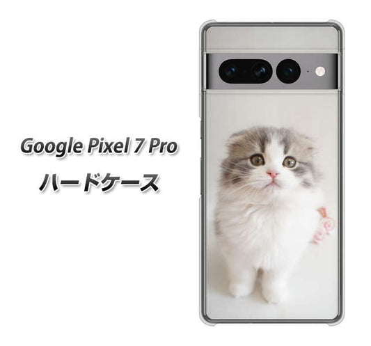 Google Pixel 7 Pro 高画質仕上げ 背面印刷 ハードケース【VA803 まっていますネコ】