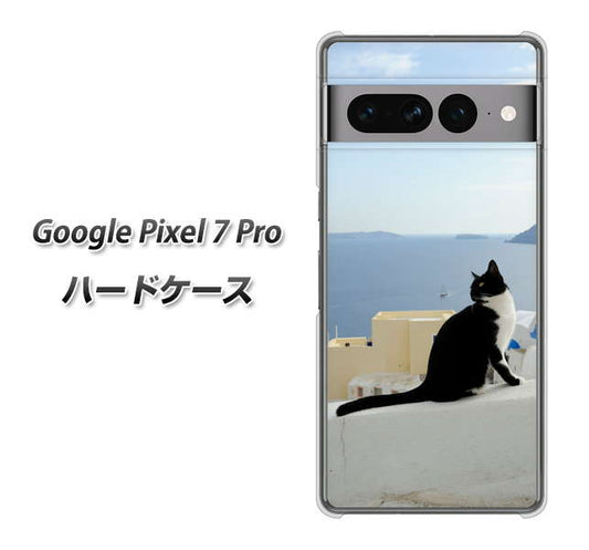 Google Pixel 7 Pro 高画質仕上げ 背面印刷 ハードケース【VA805 ネコと地中海】