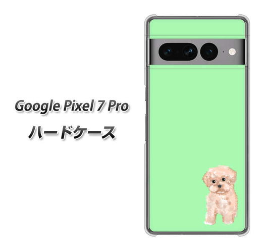 Google Pixel 7 Pro 高画質仕上げ 背面印刷 ハードケース【YJ063 トイプードルアプリコット（グリーン）】