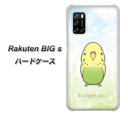 楽天モバイル Rakuten BIGs 高画質仕上げ 背面印刷 ハードケース【SC838 セキセイインコ グリーン】