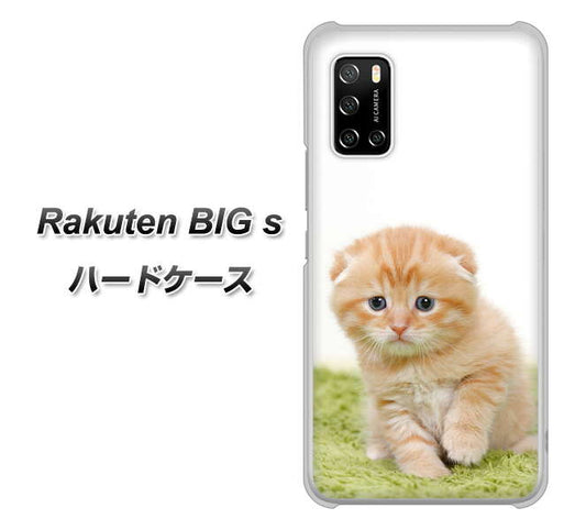 楽天モバイル Rakuten BIGs 高画質仕上げ 背面印刷 ハードケース【VA802 ネコこっそり】