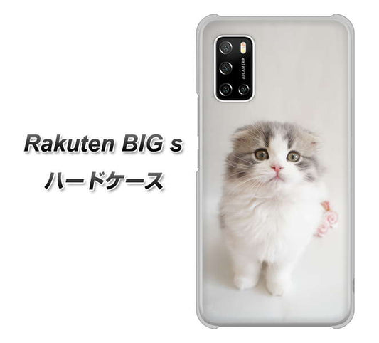 楽天モバイル Rakuten BIGs 高画質仕上げ 背面印刷 ハードケース【VA803 まっていますネコ】