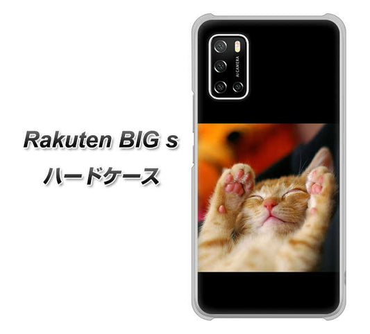 楽天モバイル Rakuten BIGs 高画質仕上げ 背面印刷 ハードケース【VA804 爆睡するネコ】