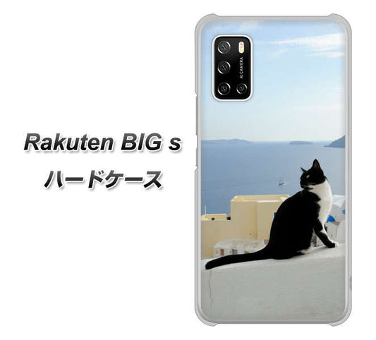 楽天モバイル Rakuten BIGs 高画質仕上げ 背面印刷 ハードケース【VA805 ネコと地中海】