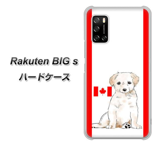 楽天モバイル Rakuten BIGs 高画質仕上げ 背面印刷 ハードケース【YD824 ラブラドールレトリバー05】
