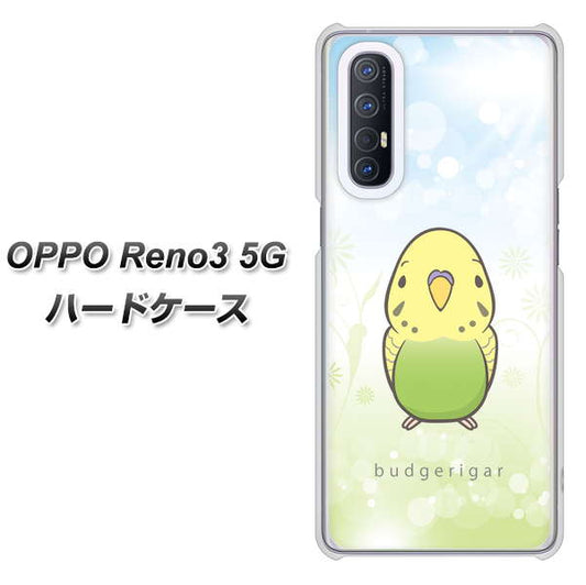 SoftBank OPPO Reno3 5G 高画質仕上げ 背面印刷 ハードケース【SC838 セキセイインコ グリーン】