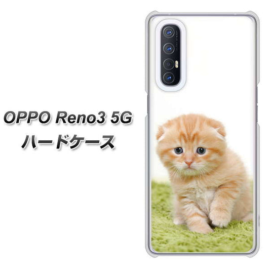 SoftBank OPPO Reno3 5G 高画質仕上げ 背面印刷 ハードケース【VA802 ネコこっそり】