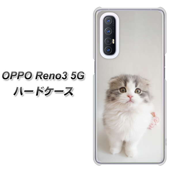 SoftBank OPPO Reno3 5G 高画質仕上げ 背面印刷 ハードケース【VA803 まっていますネコ】