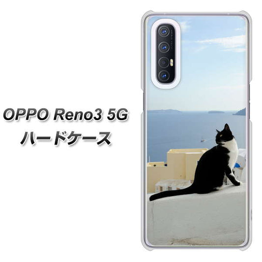 SoftBank OPPO Reno3 5G 高画質仕上げ 背面印刷 ハードケース【VA805 ネコと地中海】