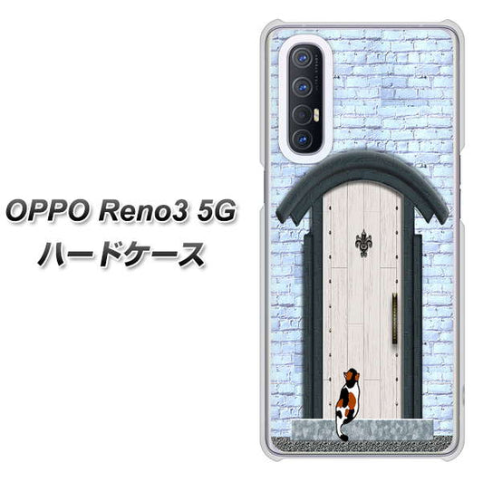 SoftBank OPPO Reno3 5G 高画質仕上げ 背面印刷 ハードケース【YA951 石ドア01】