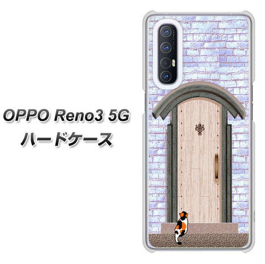 SoftBank OPPO Reno3 5G 高画質仕上げ 背面印刷 ハードケース【YA952 石ドア02 素材クリア】