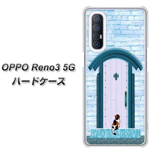 SoftBank OPPO Reno3 5G 高画質仕上げ 背面印刷 ハードケース【YA953 石ドア03 素材クリア】