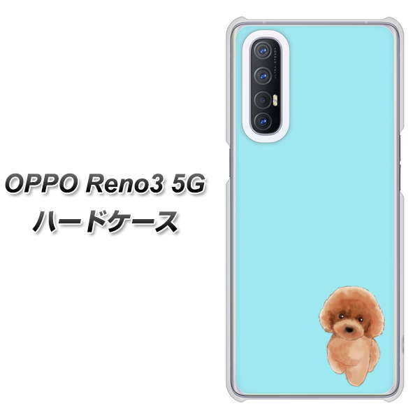 SoftBank OPPO Reno3 5G 高画質仕上げ 背面印刷 ハードケース【YJ050 トイプードルレッド（ブルー）】