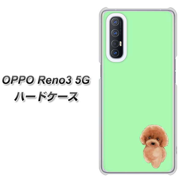 SoftBank OPPO Reno3 5G 高画質仕上げ 背面印刷 ハードケース【YJ052 トイプードルレッド（ グリーン）】