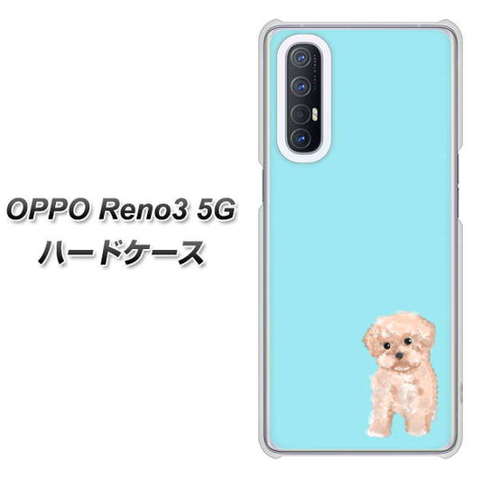 SoftBank OPPO Reno3 5G 高画質仕上げ 背面印刷 ハードケース【YJ062 トイプードルアプリコット（ブルー）】