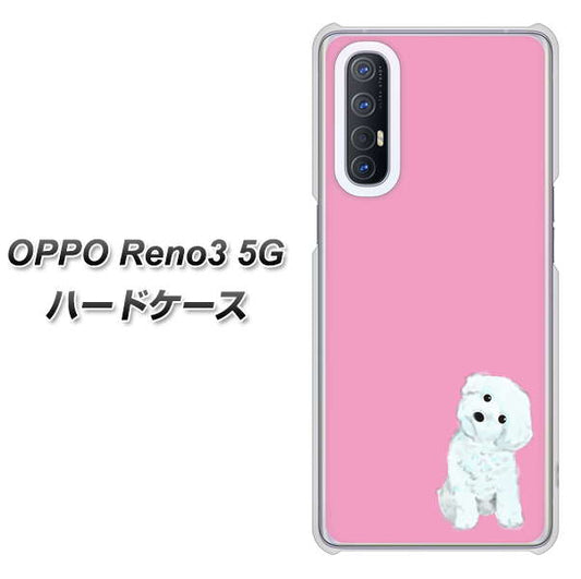 SoftBank OPPO Reno3 5G 高画質仕上げ 背面印刷 ハードケース【YJ069 トイプードルホワイト（ピンク）】