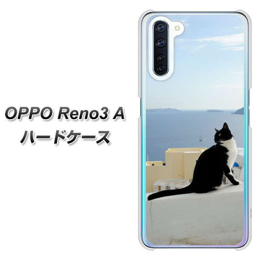 SIMフリー OPPO Reno3 A 高画質仕上げ 背面印刷 ハードケース【VA805 ネコと地中海】