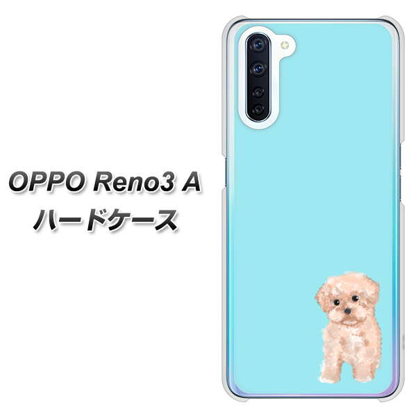 SIMフリー OPPO Reno3 A 高画質仕上げ 背面印刷 ハードケース【YJ062 トイプードルアプリコット（ブルー）】