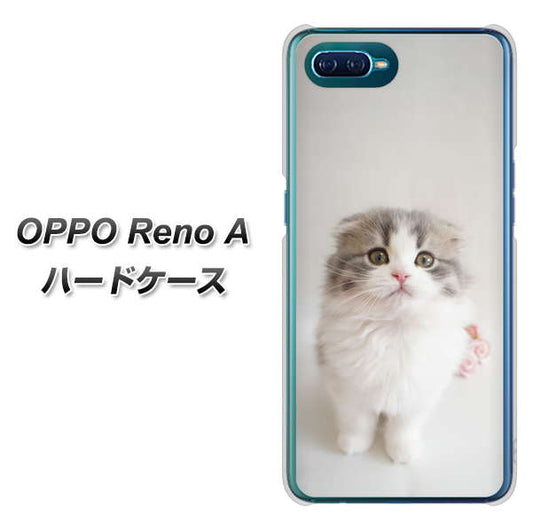 OPPO Reno A 高画質仕上げ 背面印刷 ハードケース【VA803 まっていますネコ】