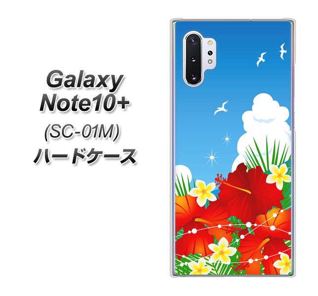 docomo ギャラクシー ノート10+ SC-01M 高画質仕上げ 背面印刷 ハードケース【VA821 ハイビスカスと青空】