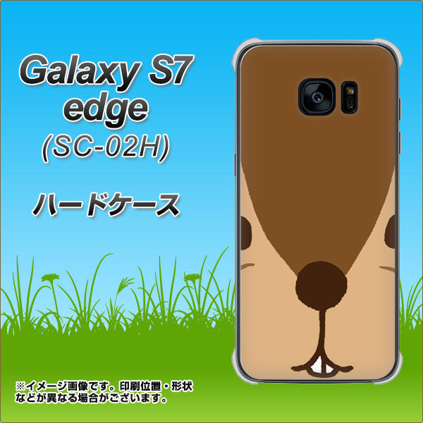 docomo ギャラクシーS7エッジ SC-02H 高画質仕上げ 背面印刷 ハードケース【349 りす】