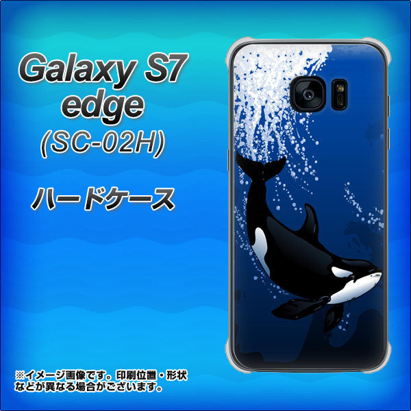 docomo ギャラクシーS7エッジ SC-02H 高画質仕上げ 背面印刷 ハードケース【423 シャチ】